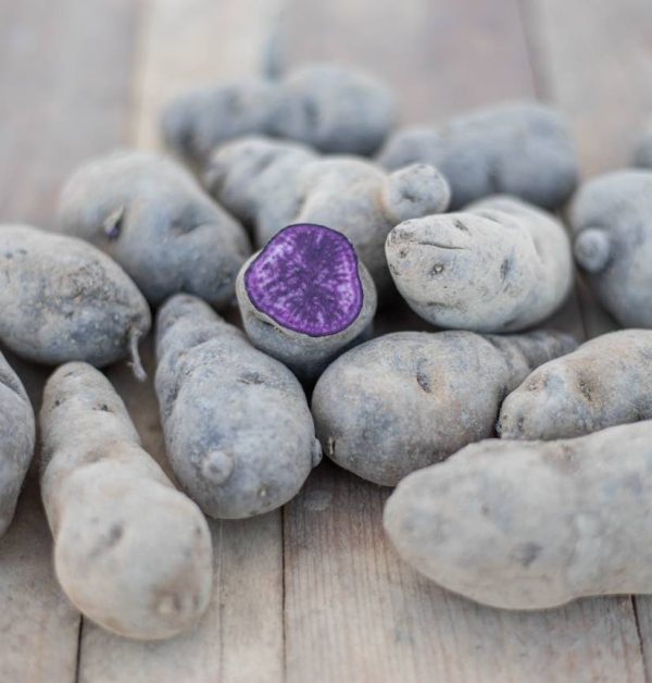 Patata variedad Violeta, caja de cartón reciclable de 1 kg