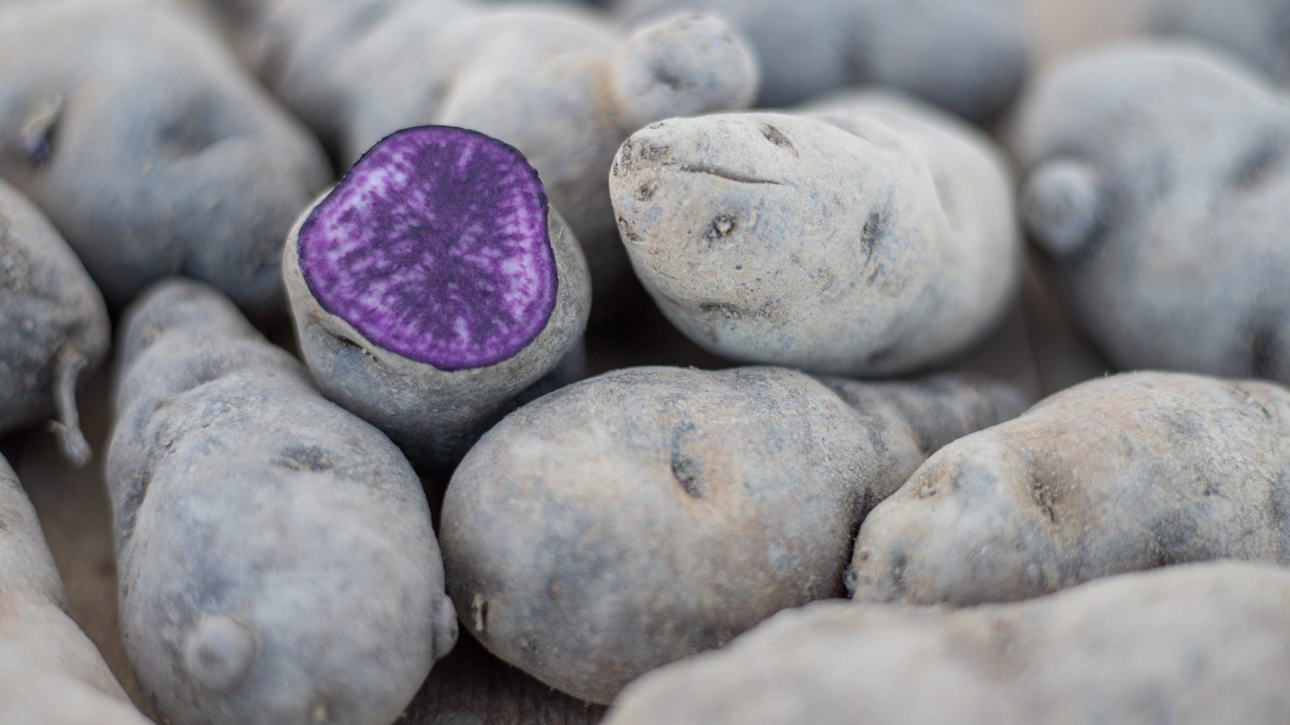 Patata violeta de Patatas Tarsa