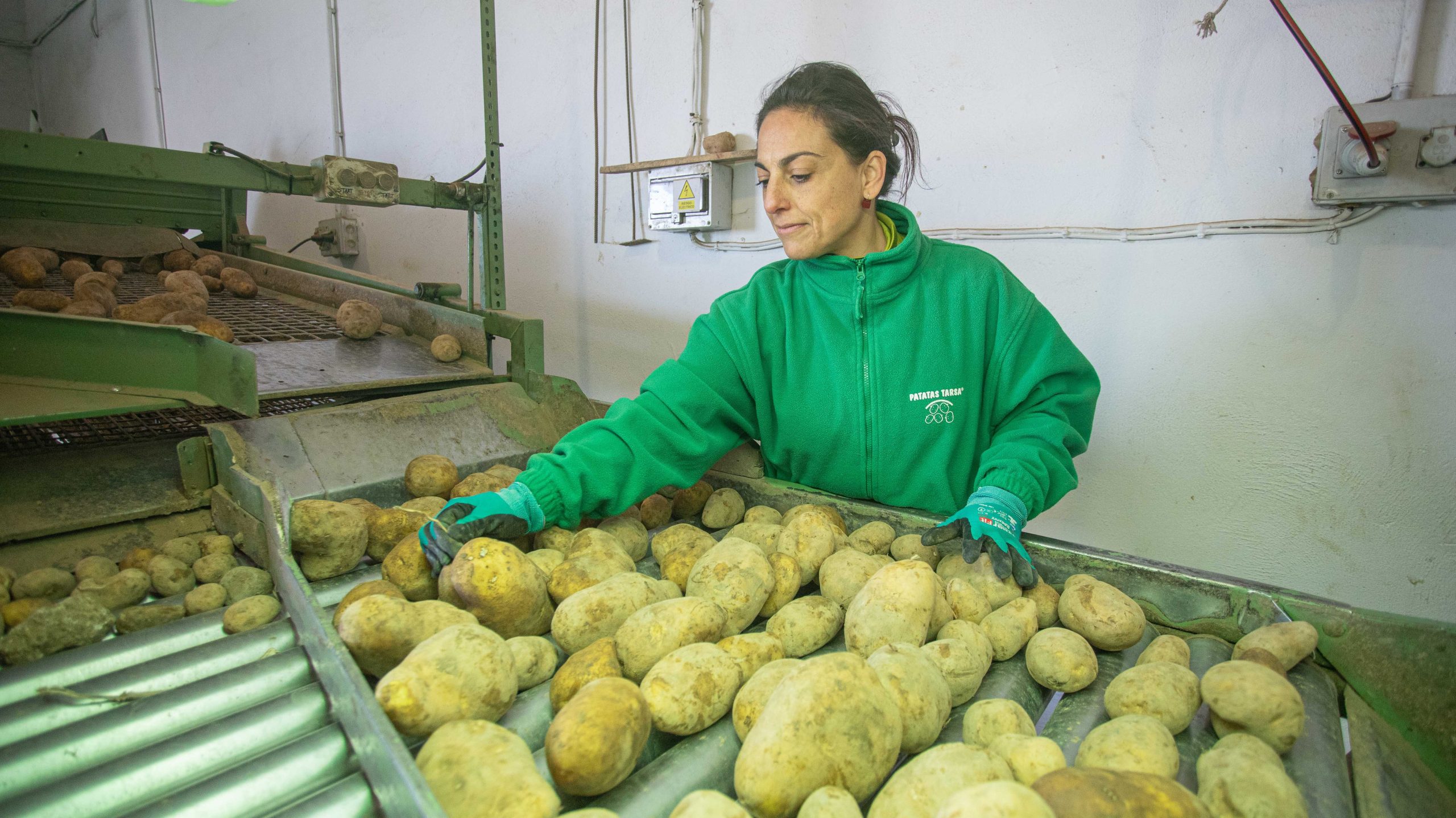 Gema eligiendo Patatas Tarsa en su emprendimiento rural