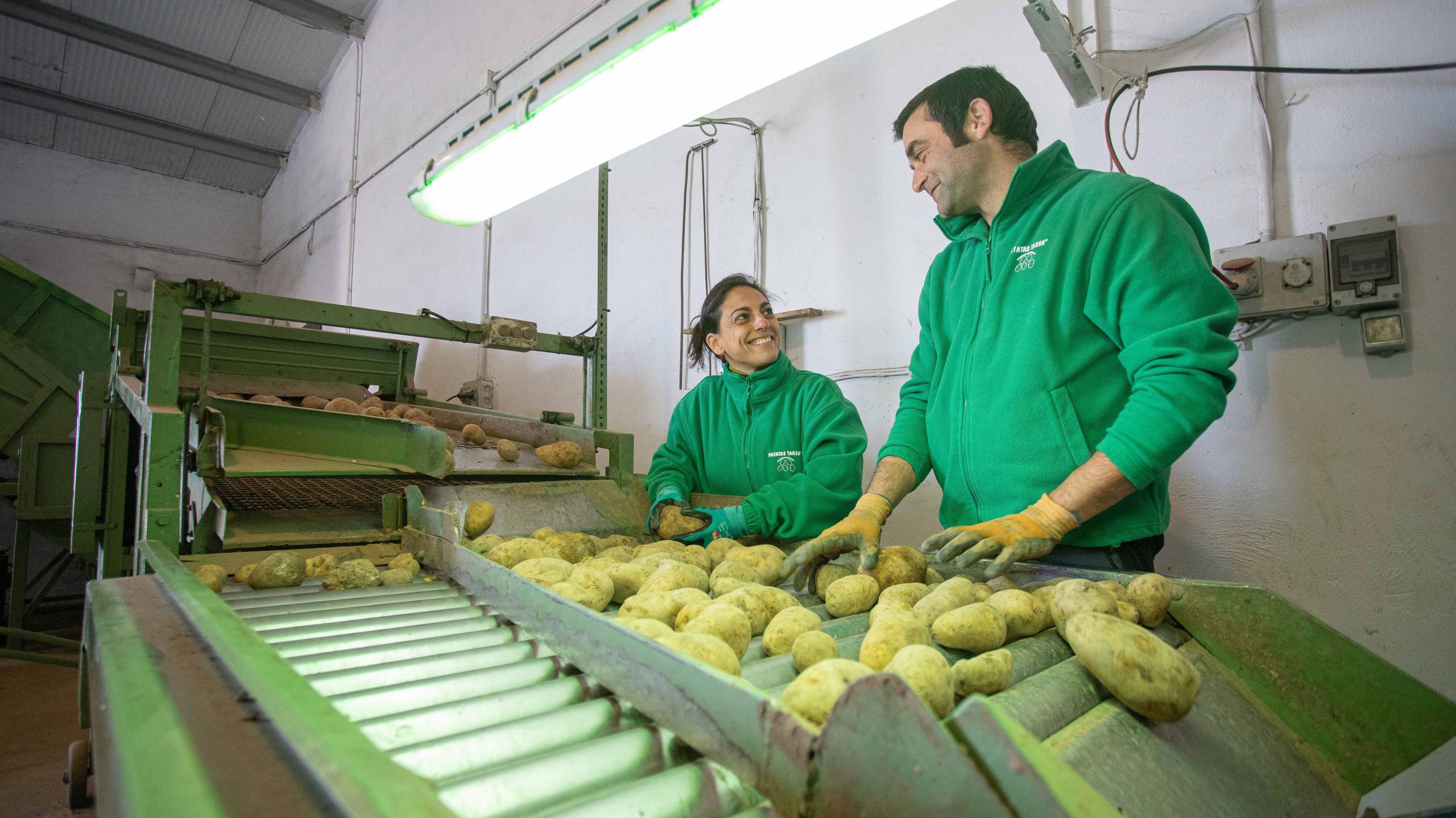 patatas de Patatas Tarsa