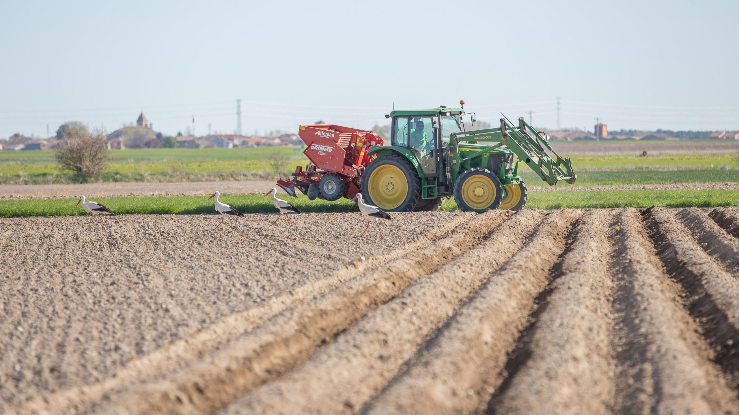 Sembrando patata de Pinarnegrillo de Patatas Tarsa