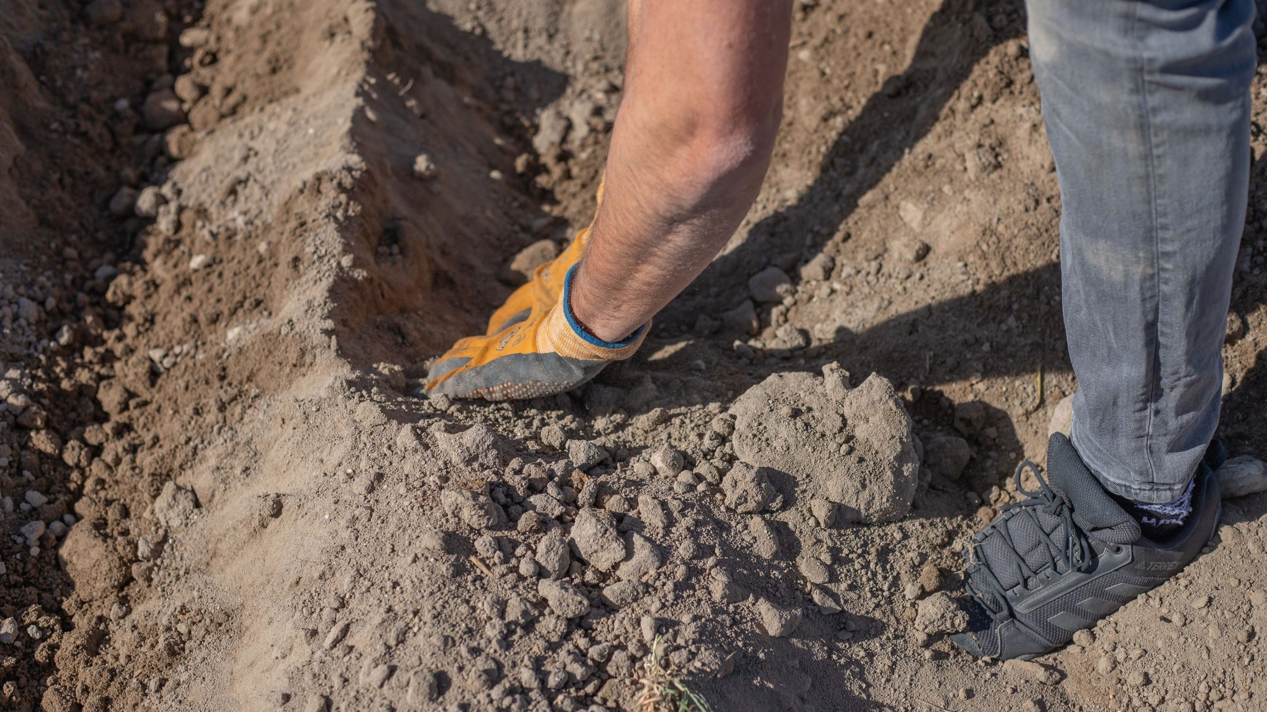 Suelo con patata de Pinarnegrillo de Patatas Tarsa