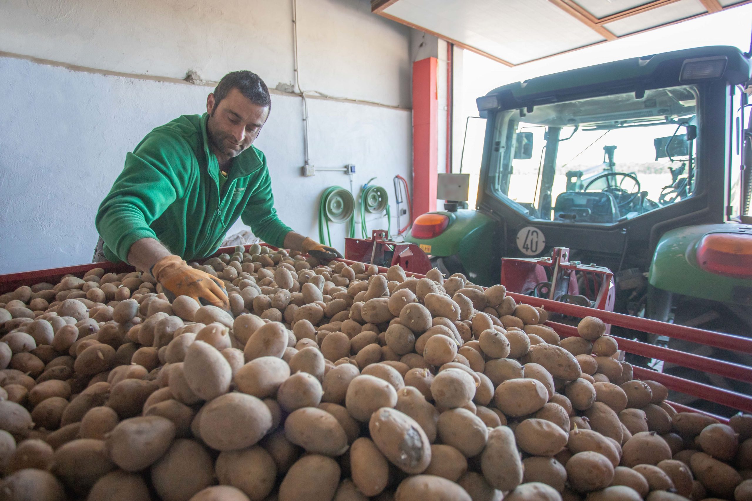 Óscar cargando las patatas de siembra en la sembradora