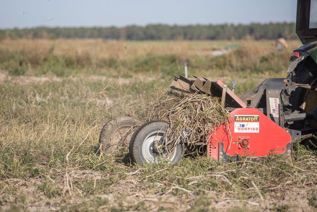 Picadora de Patatas Tarsa