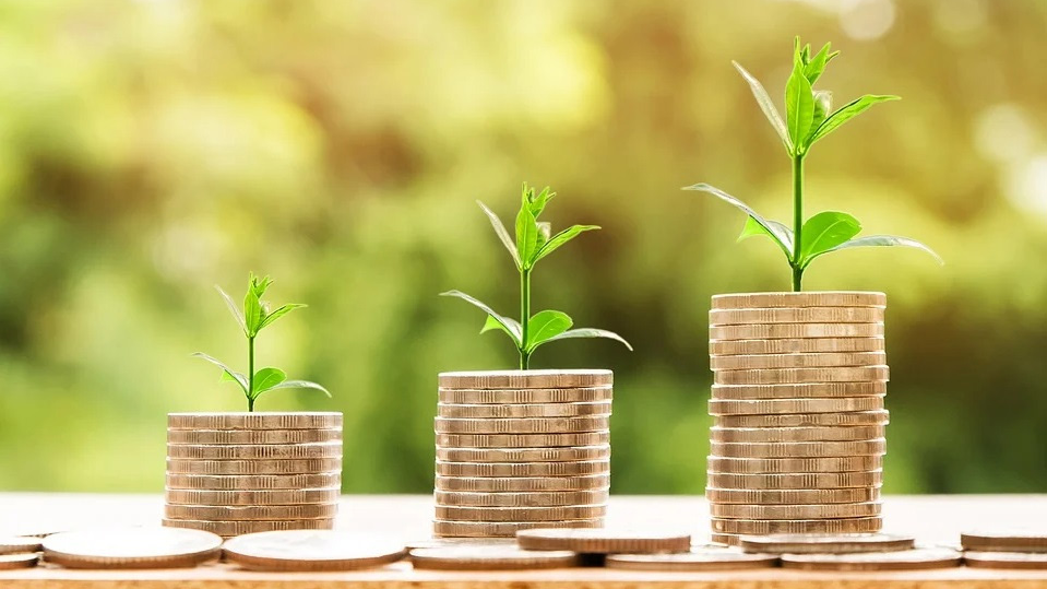 Estamos en deuda ecológica con la tierra
Dinero frente a recursos naturales