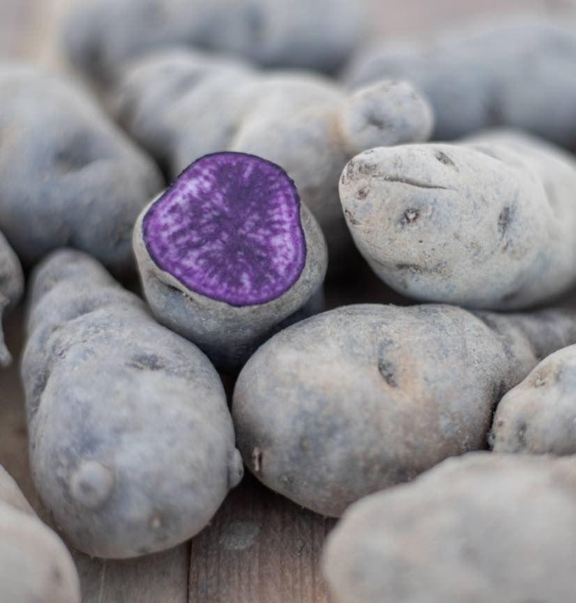 Patata variedad Violeta, bolsa de papel reciclable de 3 kg