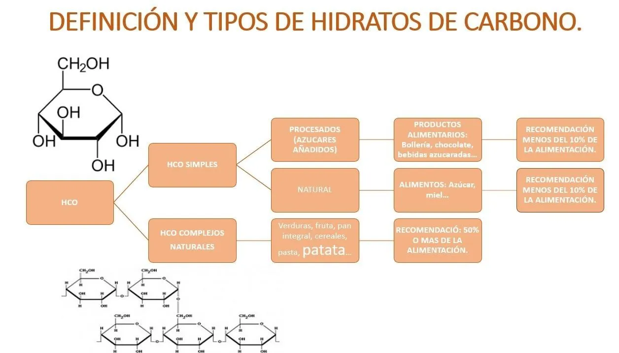 Tipos de hidratos de carbono de las Patatas TArsa
