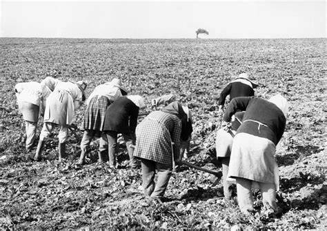 mujeres en el pasado trabajando en el campo