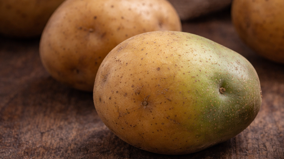 Patata con solanina o zona verde