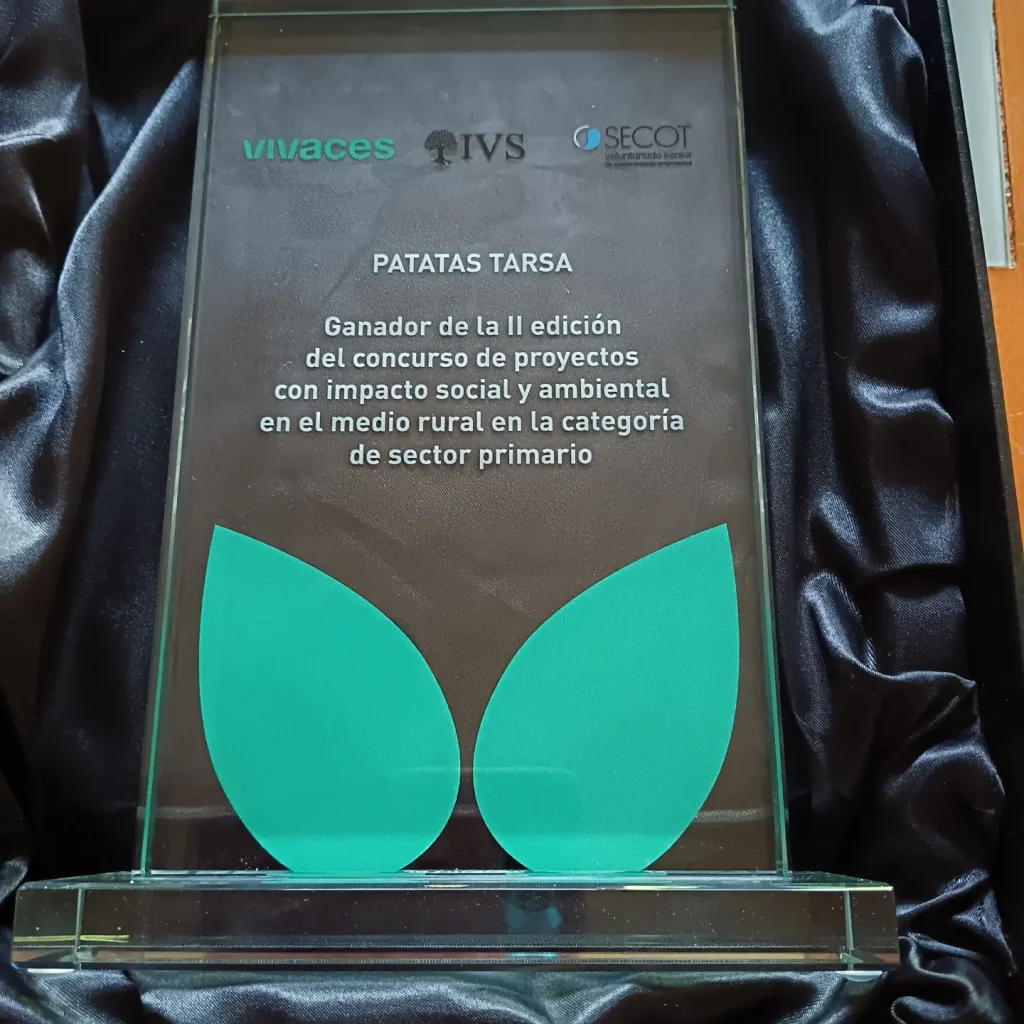 vivaces año 2024 patatas tarsa