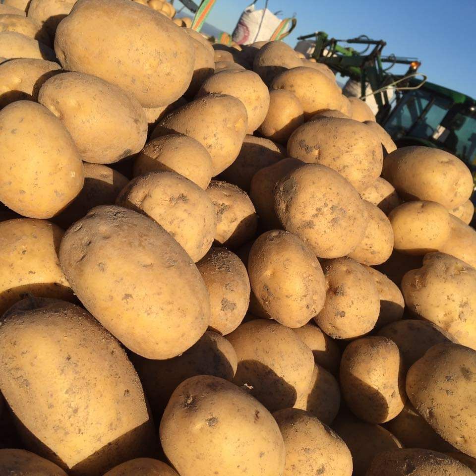 Patata agria de Patatas Tarsa