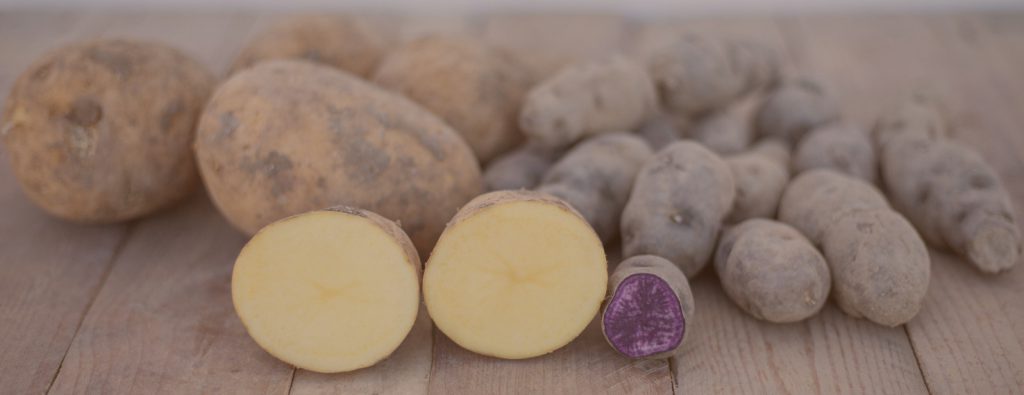 patata online de patatas tarsa